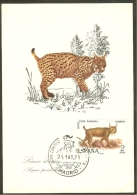 ESPAGNE Carte Maximum - Lynx - Maximum Kaarten