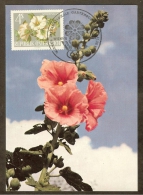 AUTRICHE Carte Maximum - Roses Trémières - Maximumkarten (MC)