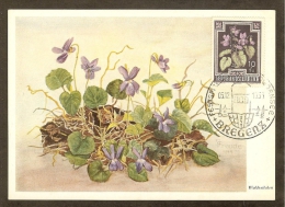 AUTRICHE Carte Maximum - Violette - Cartes-Maximum (CM)