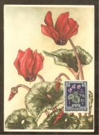 AUTRICHE Carte Maximum - Cyclamen - Cartes-Maximum (CM)