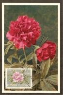 AUTRICHE Carte Maximum - Pivoines - Cartes-Maximum (CM)