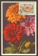 AUTRICHE Carte Maximum - Dahlias - Maximumkaarten