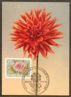 AUTRICHE Carte Maximum - Dahlias - Maximumkaarten