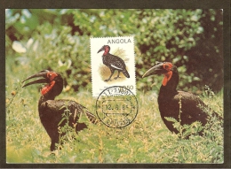 ANGOLA Carte Maximum - Bucorvus Leadbeateri - Angola