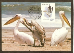 ANGOLA Carte Maximum - Pelecanus Onocrotalus - Angola