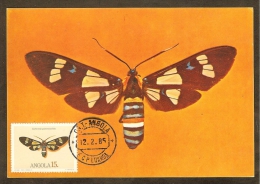 ANGOLA Carte Maximum - Euchromia Guineensis - Angola