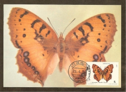 ANGOLA Carte Maximum - Catacroptera Cloanthe - Angola
