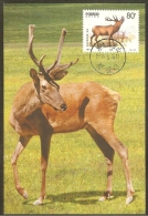 CHINE Carte Maximum - Cerf Mâle - Cartes-maximum