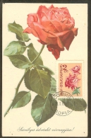 BULGARIE Carte Maximum - Roses - Other & Unclassified