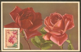 BULGARIE Carte Maximum - Roses - Autres & Non Classés