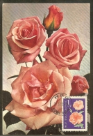 BULGARIE Carte Maximum - Roses - Sonstige & Ohne Zuordnung