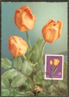 BULGARIE Carte Maximum - Tulipes - Andere & Zonder Classificatie