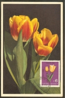 BULGARIE Carte Maximum - Tulipes - Autres & Non Classés