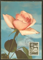 BULGARIE Carte Maximum - Roses - Andere & Zonder Classificatie
