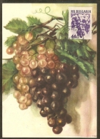 BULGARIE Carte Maximum - Raisin - Autres & Non Classés