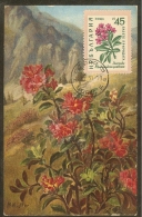 BULGARIE Carte Maximum - Rhododendron - Other & Unclassified