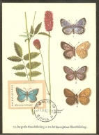 BULGARIE Carte Maximum - Lycaena Meleager - Andere & Zonder Classificatie