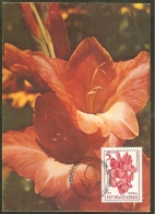 BULGARIE Carte Maximum - Gladiolus Hybridy - Other & Unclassified