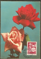 BULGARIE Carte Maximum - Roses - Autres & Non Classés