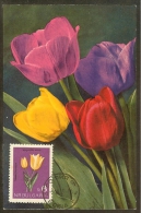 BULGARIE Carte Maximum - Tulipes - Autres & Non Classés