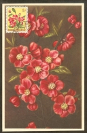 CONGO BELGE Carte Maximum - Hibiscus - Altri & Non Classificati