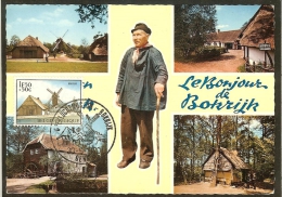 BELGIQUE Carte Maximum - Domaine De Bokrijk - Autres & Non Classés