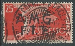 1947-48 TRIESTE A USATO ESPRESSO DEMOCRATICA 2 RIGHE 25 LIRE - L13 - Express Mail