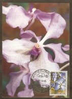 BELGIQUE Carte Maximum - Vanda - Other & Unclassified