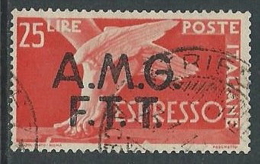 1947-48 TRIESTE A USATO ESPRESSO DEMOCRATICA 2 RIGHE 25 LIRE - L26 - Express Mail