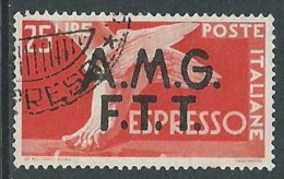 1947-48 TRIESTE A USATO ESPRESSO DEMOCRATICA 2 RIGHE 25 LIRE - L27 - Express Mail