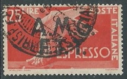 1947-48 TRIESTE A USATO ESPRESSO DEMOCRATICA 2 RIGHE 25 LIRE - L3 - Express Mail