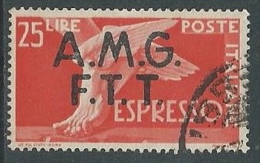 1947-48 TRIESTE A USATO ESPRESSO DEMOCRATICA 2 RIGHE 25 LIRE - L8 - Express Mail