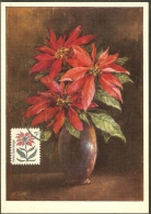 ETATS UNIS Carte Maximum - Poinsettia - Cartoline Maximum