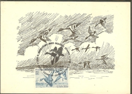 ETATS UNIS Carte Maximum - Canards Sauvages - Maximumkarten (MC)