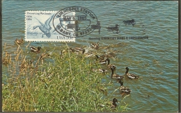 ETATS UNIS Carte Maximum - Canards Sauvages - Cartes-Maximum (CM)