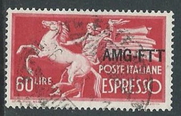 1950 TRIESTE A USATO ESPRESSO DEMOCRATICA 1 RIGHE 60 LIRE - L14 - Express Mail