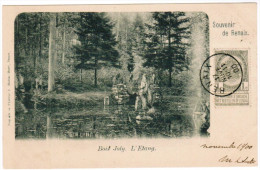 Ronse, Renaix, Bois Joly, L'Etang (pk21511) - Renaix - Ronse