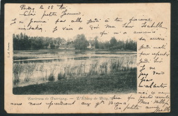 Environs De GUERIGNY - L'Étang De BIZY - Guerigny