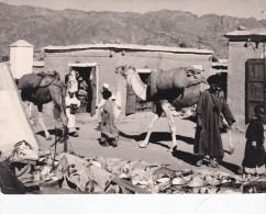 CPSM  10X15 .  MAROC  . TAFRAOUT Sites Et Folklores (Dromadaires Et  Marchandises Traversant Le Souk à Ciel Ouvert) - Other & Unclassified