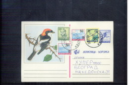 Yugoslavia 1993 Interesting Postal Stationery Postcard - Briefe U. Dokumente