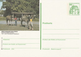 1980 GERMANY Postal  STATIONERY CARD Illus CAMELS At KREISSTADT PARK ZOO Cover Stamps Camel - Non Classés