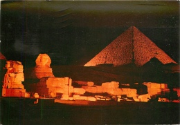 CPSM Giza   L1950 - Gizeh