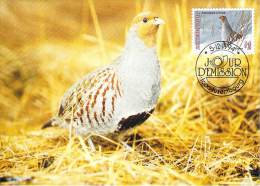 LUXEMBOURG  CARTE MAXIMUM  NUM-YVERT  1303 FAUNE OISEAUX PROTECTION DE LA NATURE - Cartes Maximum