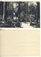 AK Haida Familiengruft Friese Waldfriedhof Nicht Gel. Ca. 1920er S/w (324-AK342) - Sudeten