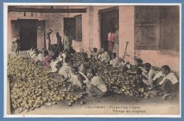 ASIE - STRI LANKA - ( CEYLON )  -- COLOMBO - Preparing Copra - Sri Lanka (Ceylon)