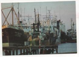 PORTUGAL- Ílhavo -Gafanha Da Nazaré - Porto De Pesca Longínqua. - Aveiro