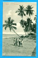 U215, Ceylon, Sea Shore, 36, Animée, Non Circulée - Sri Lanka (Ceylon)