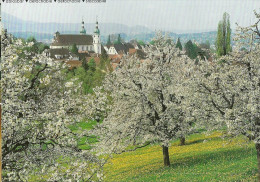 Arlesheim - Frühling            Ca.  2000 - Arlesheim