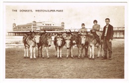 RB 1055 -  Postcard - Donkeys & Pier - Weston-super-Mare Somerset - Weston-Super-Mare