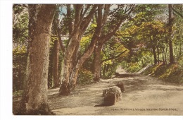 RB 1055 -  J. Salmon Postcard - Kewstoke Woods - Weston-super-Mare - Somerset - Weston-Super-Mare